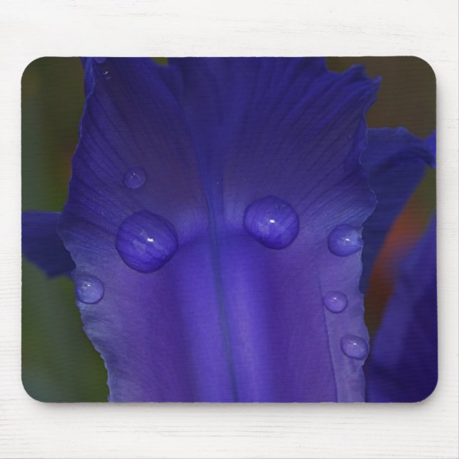 Sapphire Serenity  Musmatta (Framsidan)