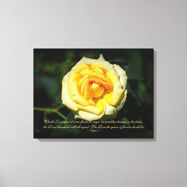 Sappho Quote Gult English Ro Canvastryck (Framsida)