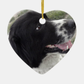 Sara bulgarisk herdehund julgransprydnad keramik