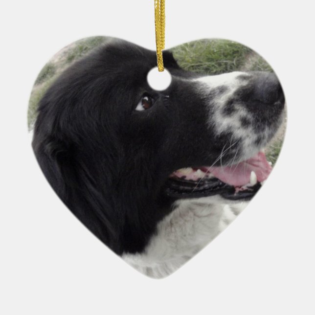 Sara bulgarisk herdehund julgransprydnad keramik (Framsidan)