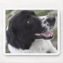 Sara bulgarisk herdehund