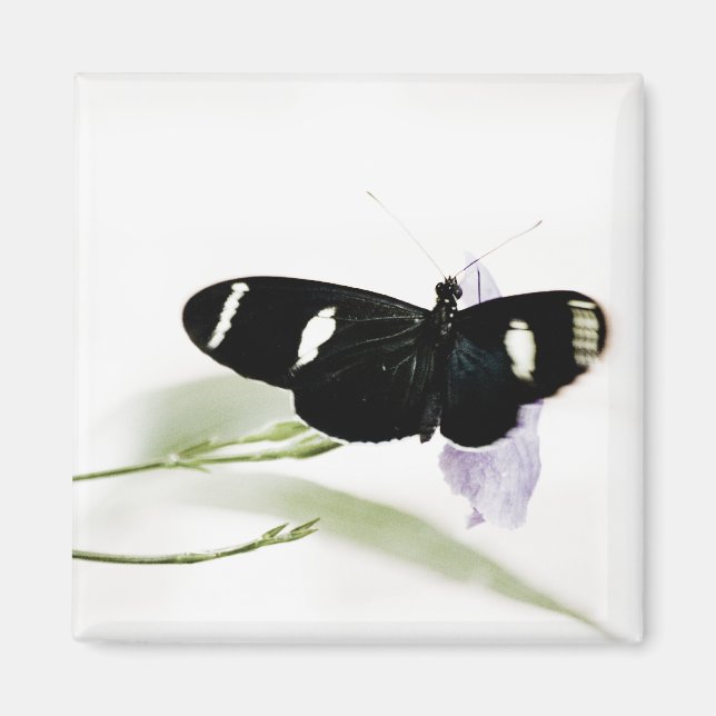 Sara Magnet (Framsidan)