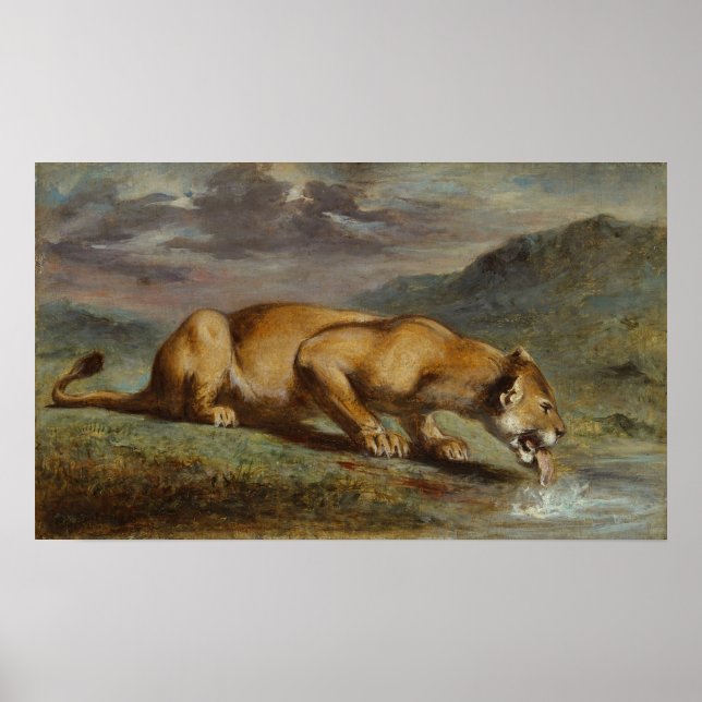 sårade Lioness Poster (Framsidan)