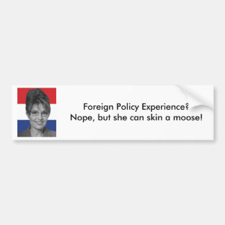 Sarah Palin, utrikespolitik erfar? Bildekal
