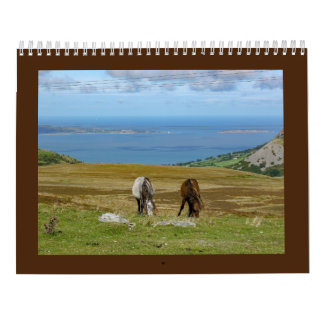 Sarah Woodbury's Carneddau Ponies Kalender