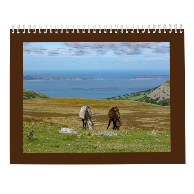 Sarah Woodbury's Carneddau Ponies Kalender (Baksida)