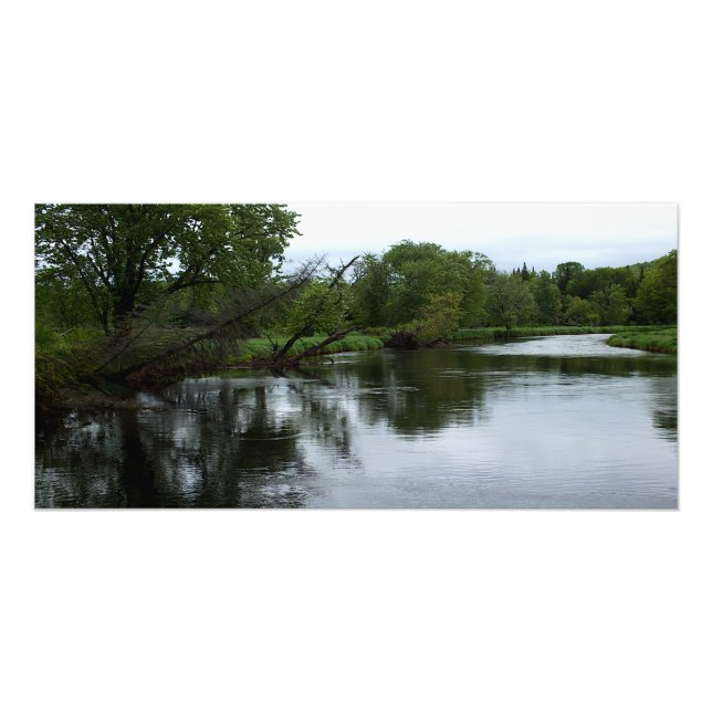 "Saranacfloden" Foto av Adirondack River & Träd (Framsidan)