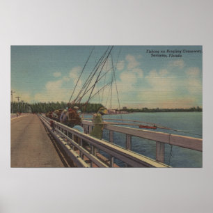 Sarasota, FL - View of People Fishing off Poster