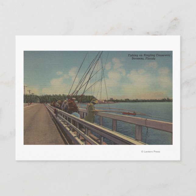Sarasota, FL - View of People Fishing off Vykort (Framsida)