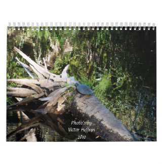 Sarasota Florida kalender