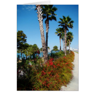 Sarasota Ringling Bridge Hälsningskort