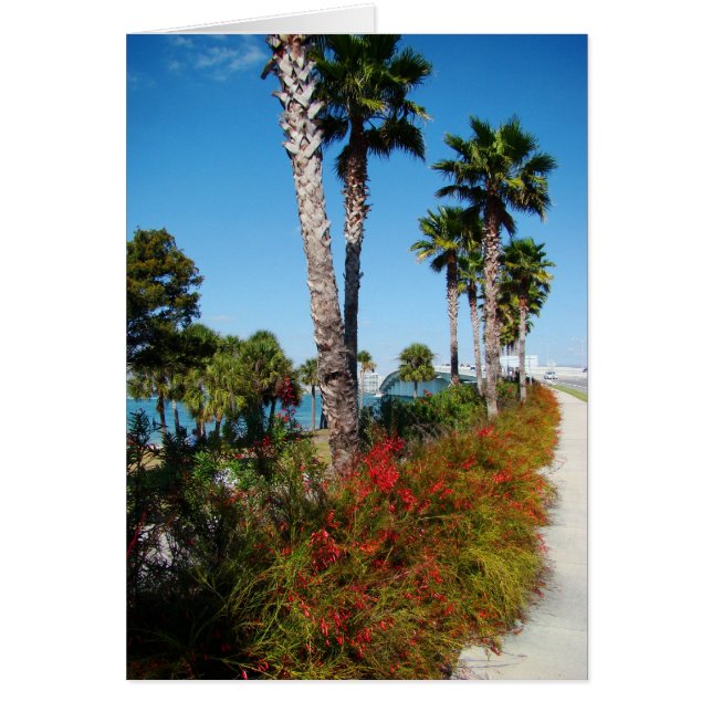 Sarasota Ringling Bridge Hälsningskort (Framsidan)