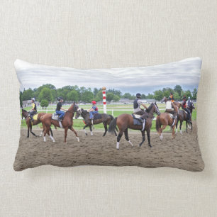 Saratoga 150 Kastkudde Lumbarkudde