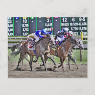 Saratoga Horse Tävla Vykort