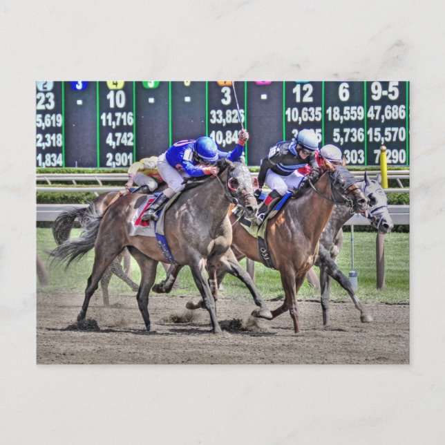 Saratoga Horse Tävla Vykort (Framsida)