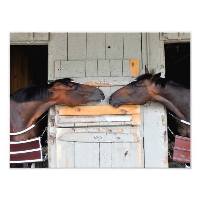 Saratoga Kärlek Fototryck (Framsidan)