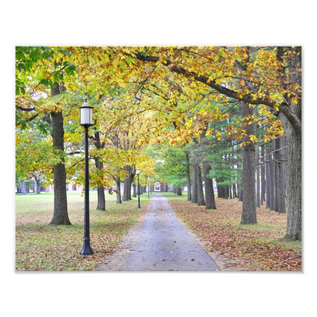 Saratoga Spa State Park Fototryck (Framsidan)