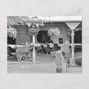 Saratoga Stables "Hästhaven" Vykort