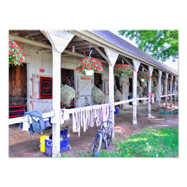 Saratoga Stables ’Horse Haven’ Fototryck