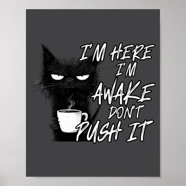 Sarcastic Cat Funny Cat I'm Here I'm Awake Don't P Poster (Framsidan)