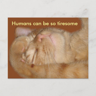 Sarcastic Cat - människor kan vara så tröttsamma Vykort