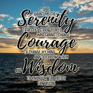 Sarcastic dumma folk Serenity Prayer tshirt T Shirt