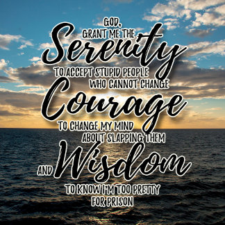 Sarcastic dumma folk Serenity Prayer tshirt T Shirt