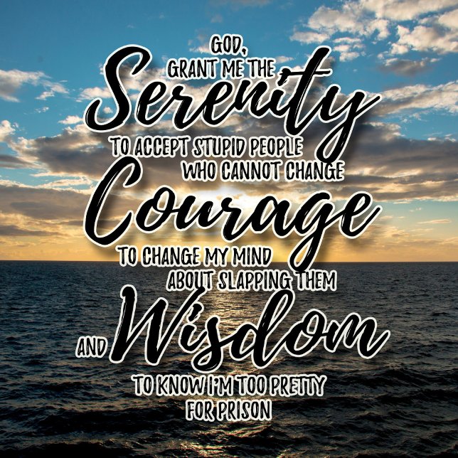 Sarcastic dumma folk Serenity Prayer tshirt T Shirt (Skapare uppladdad)