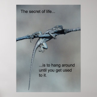 Sarcastic Lizard Secret of Life Poster