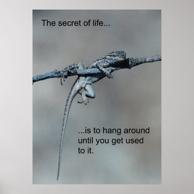 Sarcastic Lizard Secret of Life Poster (Framsidan)