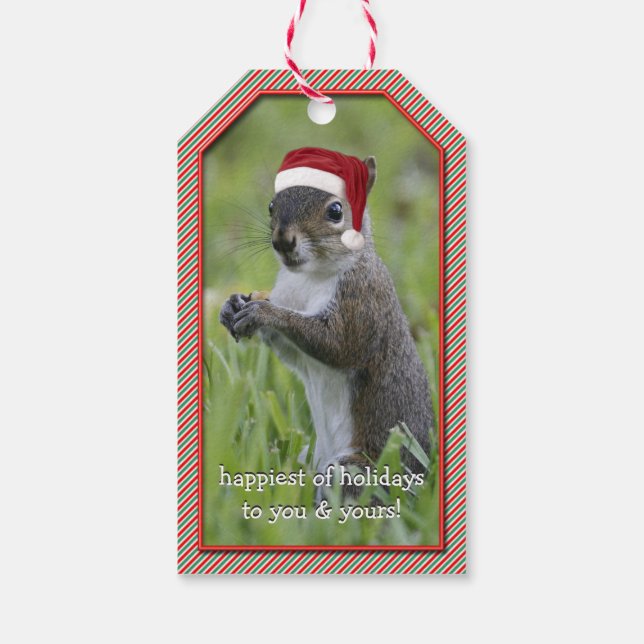 Sarcastic Santa Squirrel Wearing Santa Hat Presentetikett (Baksidan)