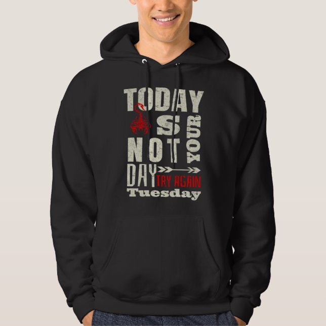 Sarcastic Scorpion Today is not your day Hoodie (Framsida)