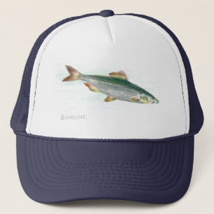 Sardine Keps