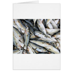 Sardines Hälsningskort