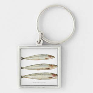 Sardines (Pilchards) 2 Fyrkantig Silverfärgad Nyckelring