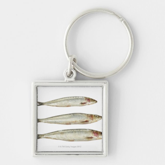 Sardines (Pilchards) 2 Fyrkantig Silverfärgad Nyckelring (Framsidan)
