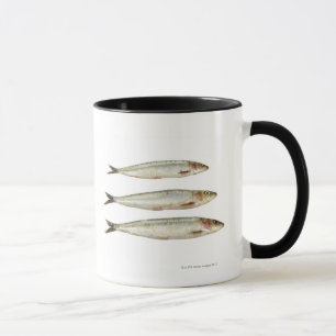 Sardines (Pilchards) 2 Mugg