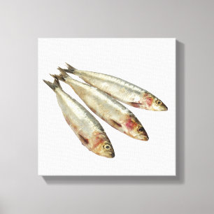 Sardines (Pilchards) Canvastryck