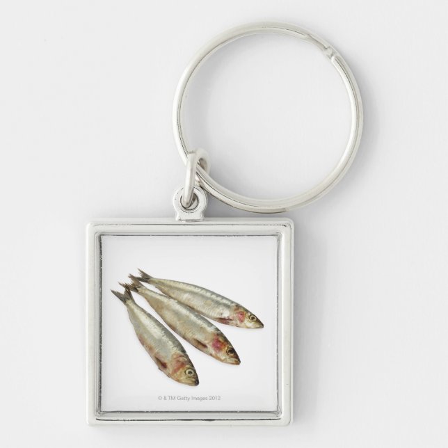 Sardines (Pilchards) Fyrkantig Silverfärgad Nyckelring (Framsidan)