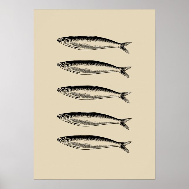 Sardinfiskar Poster (Framsidan)