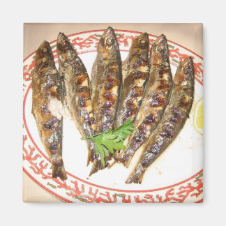 Sardinien Magnet