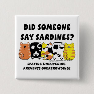Sardinska katter knapp