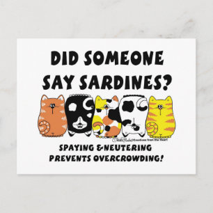 Sardinska katter vykort