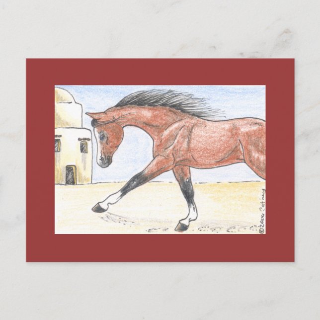 "Saree bint Sehkit" Vykort (Framsida)