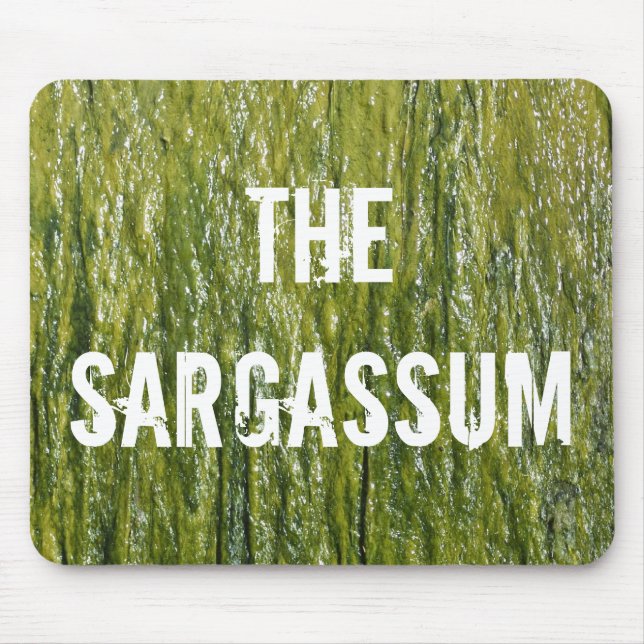 SARGASSUM! MUSMATTA (Framsidan)