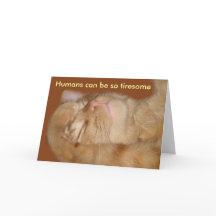 Sarkastic Cat Valentine Day Card