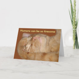 Sarkastic Cat Valentine Day Card Helgkort