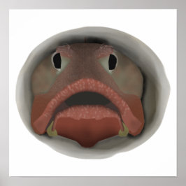 Sarkastic Fringehead - Fiskhuvud Poster