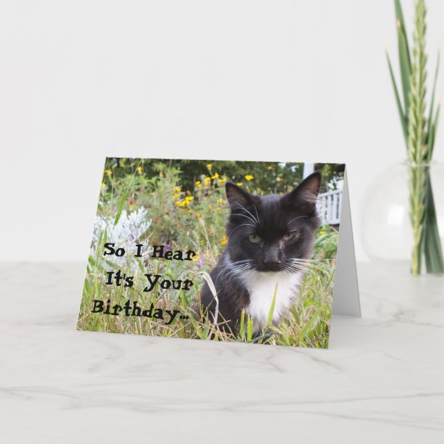 Sarkastic Tuxedo Kitten Birthday Card Kort (Framsida)