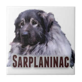 Sarplaninac Kakelplatta